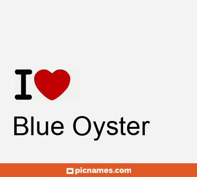 Blue Oyster